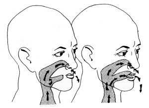Secrets of Ventriloquism